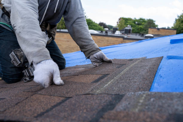 Best Commercial Roofing Services  in Wyanet, IL