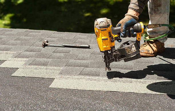 Roof Gutter Cleaning in Wyanet, IL