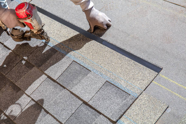 Best Roof Leak Repair  in Wyanet, IL